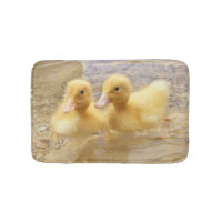 Getty avbildar | luddiga gula Ducklings