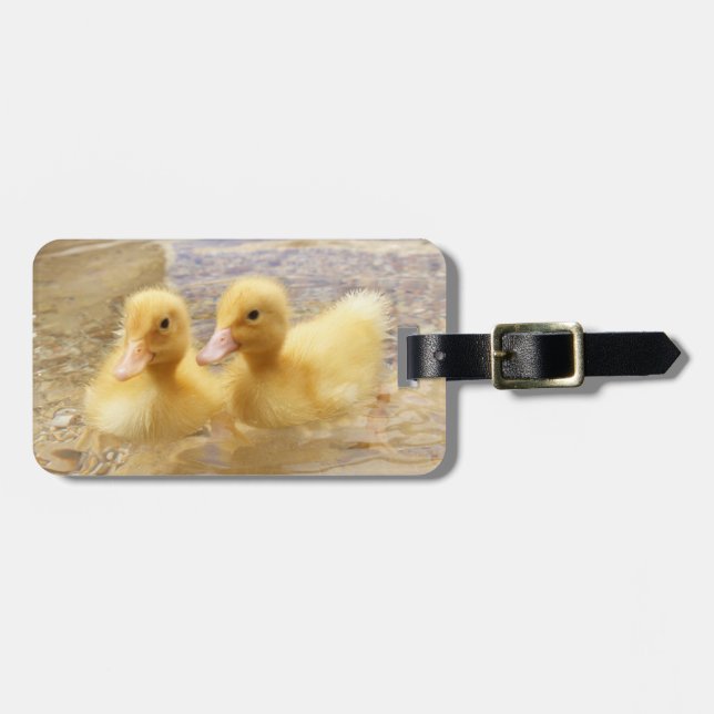 Getty avbildar | luddiga gula Ducklings Bagagebricka (Horisontell Framsida)