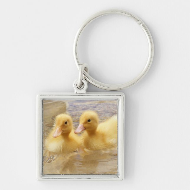 Getty avbildar | luddiga gula Ducklings Fyrkantig Silverfärgad Nyckelring (Framsidan)
