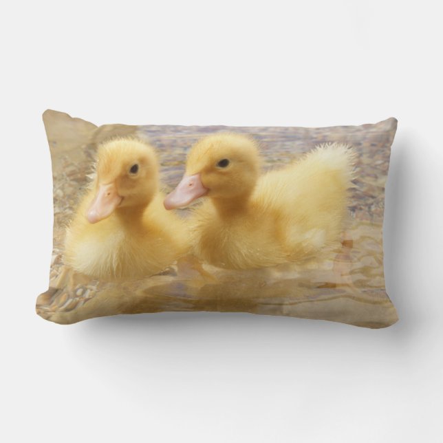 Getty avbildar | luddiga gula Ducklings Lumbarkudde (Framsida)