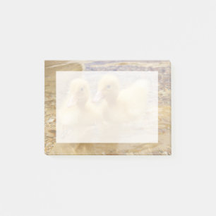 Getty avbildar luddiga gula Ducklings Post-it Block