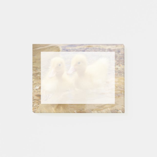 Getty avbildar | luddiga gula Ducklings Post-it Block (Framsida)