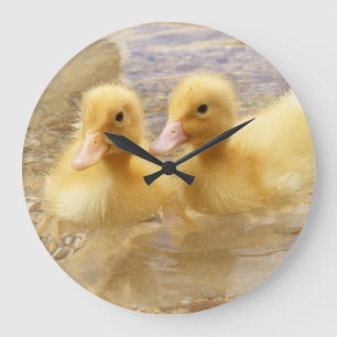Getty avbildar luddiga gula Ducklings Stor Klocka