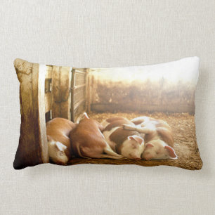 Getty avbildar Snuggling grisar Lumbarkudde