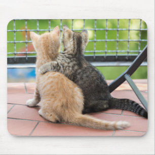 Getty avbildar   två kattungar på en balkong musmatta