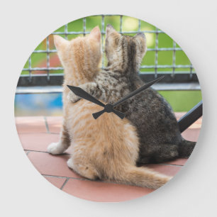 Getty avbildar två kattungar på en balkong stor klocka