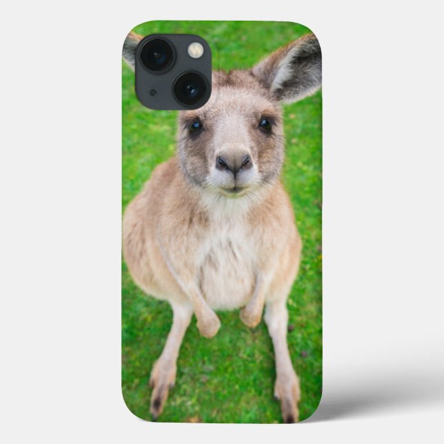 Getty Bilder | Baby Kangaroo (Baksida)