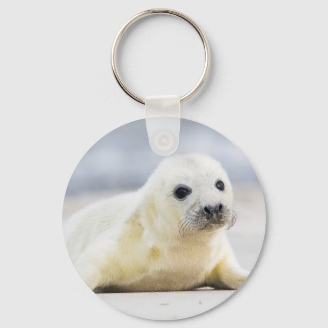 Getty Bilder | Baby Seal Nyckelring (Framsida)