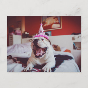 Getty Bilder British Bulldog Vykort