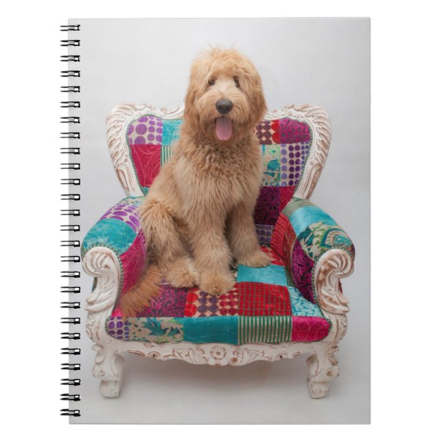 Getty Bilder| Cute Goldendoodle Anteckningsbok (Framsidan)