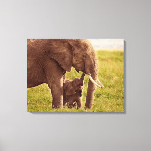 Getty Bilder   Elefant & Baby