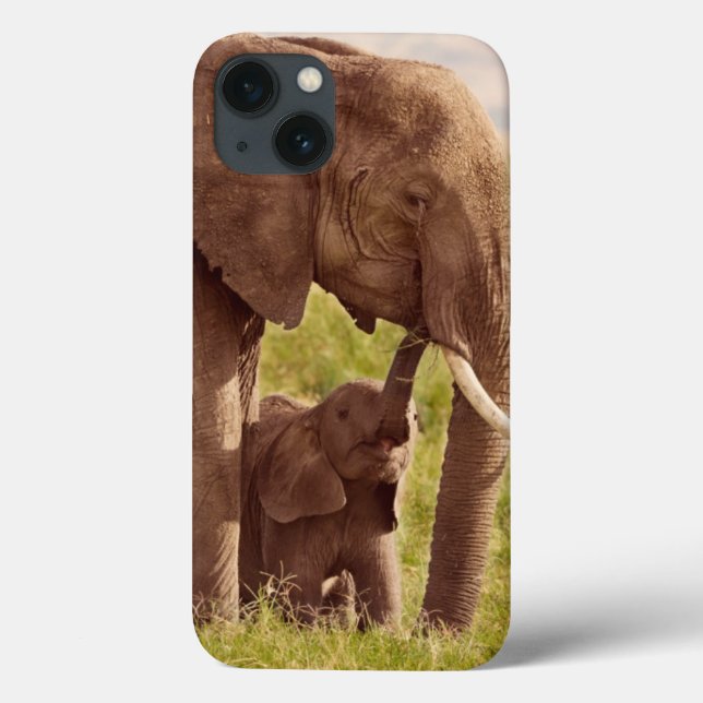 Getty Bilder | Elefant & Baby (Baksida)