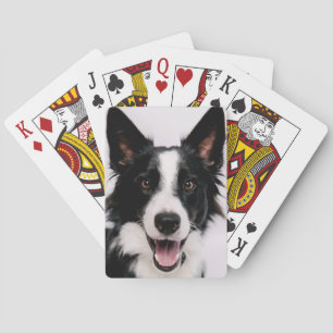 Getty Bilder En leende Gräns Collie Kortlek