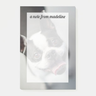 Getty Bilder  Fransk Bulldog Post-it Block