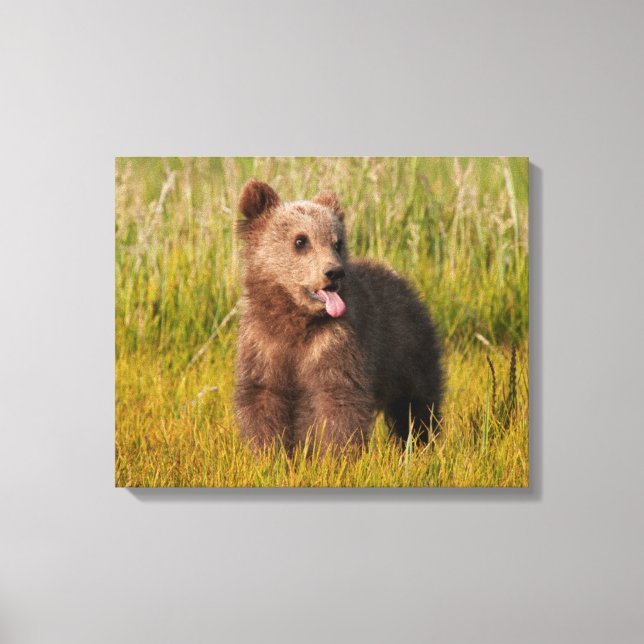 Getty Bilder | Funny Baby Bear (Framsida)