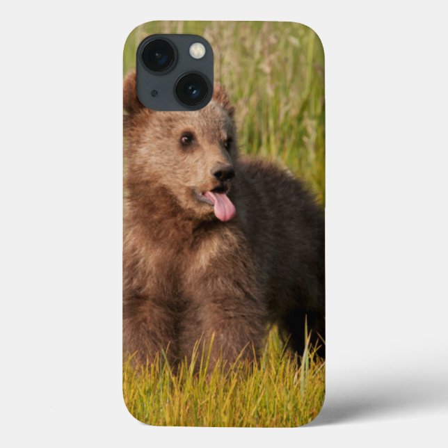 Getty Bilder | Funny Baby Bear (Baksida)