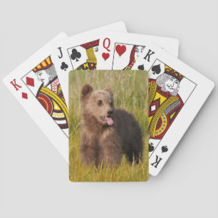 Getty Bilder Funny Baby Bear Spel Kort