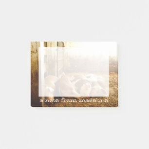 Getty Bilder  Grisar Post-it Block