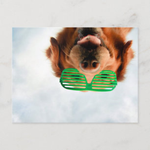 Getty Bilder Hund med glas Vykort
