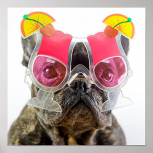 Getty Bilder Hund med glasögon Poster