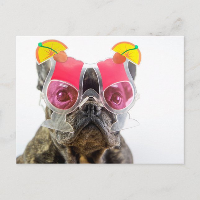 Getty Bilder | Hund med glasögon Vykort (Framsida)