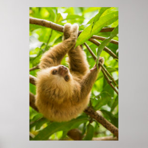 Getty Bilder Insida ned-fack Poster