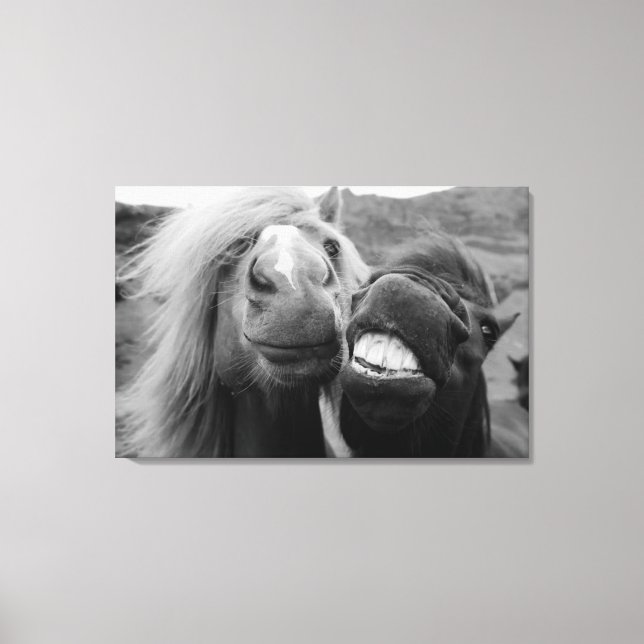 Getty Bilder | Lekande hästar (Framsida)
