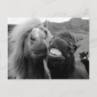 Getty Bilder | Lekande hästar