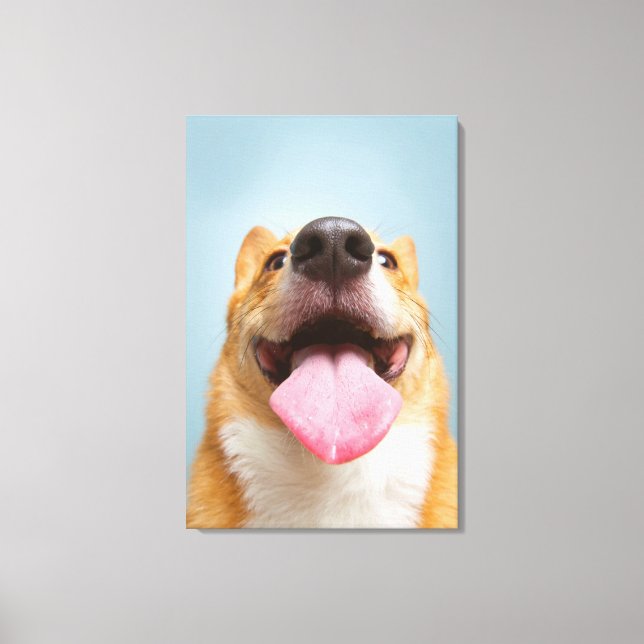 Getty Bilder | Mycket Lycklig Corgi (Framsida)