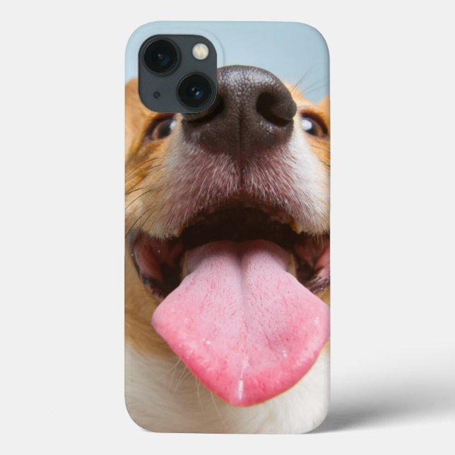 Getty Bilder | Mycket Lycklig Corgi (Baksida)