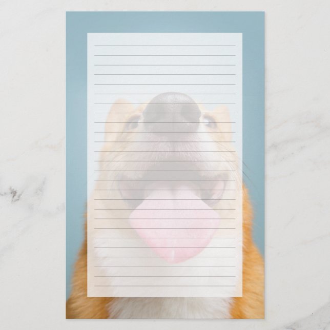 Getty Bilder | Mycket Lycklig Corgi (Framsida)