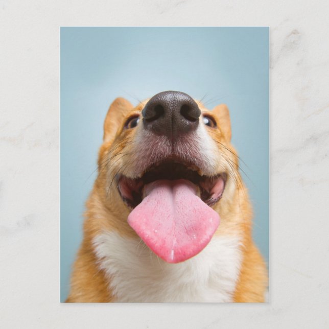 Getty Bilder | Mycket Lycklig Corgi Vykort (Framsida)