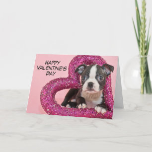 Getty Bilder Puppy Kärlek Helgkort