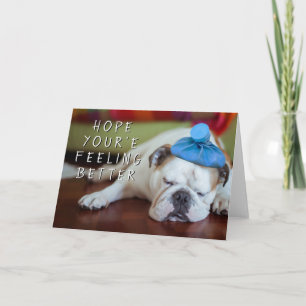 Getty Bilder Sick Young Puppy Kort