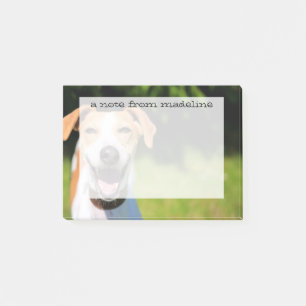 Getty Bilder  Slaktande Hund Post-it Block