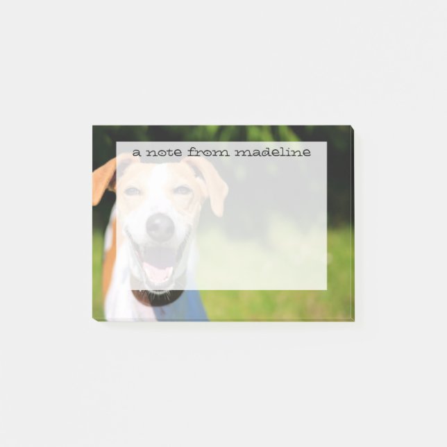 Getty Bilder| Slaktande Hund Post-it Block (Framsida)