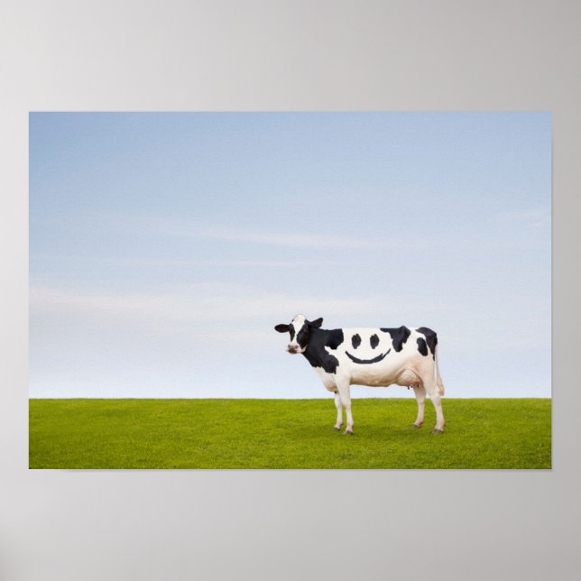 Getty Bilder | Smiley face Cow Poster (Framsidan)