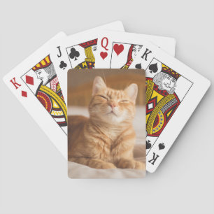 Getty Bilder Sömnig Katt Kortlek