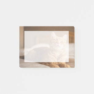 Getty Bilder  Sömnig Katt Post-it Block