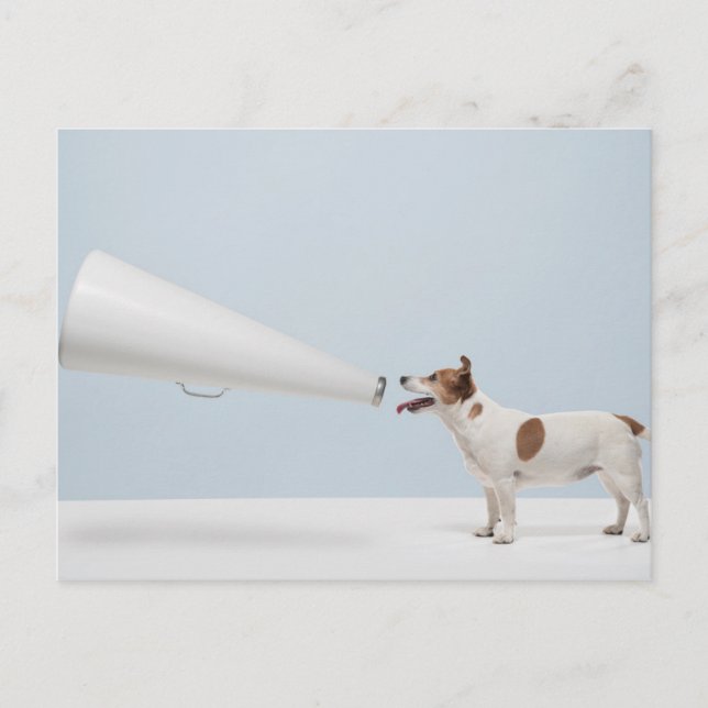 Getty Bilder | Talande Hund Vykort (Framsida)