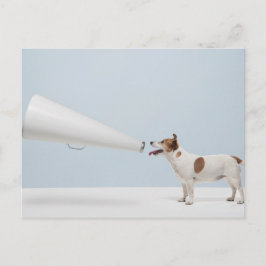 Getty Bilder | Talande Hund Vykort