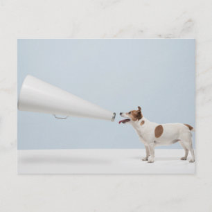 Getty Bilder Talande Hund Vykort