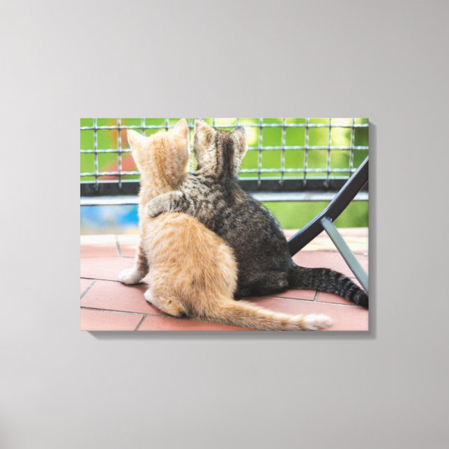 Getty Bilder | Två kattungar på Balkony (Framsida)