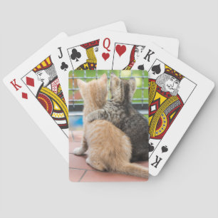 Getty Bilder Två kattungar på Balkony Casinokort