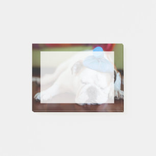 Getty Bilder Unga hundvalpar Post-it Block