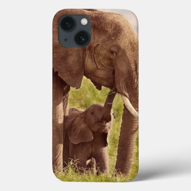 Getty Images | Elefant & Bebis (Baksida)