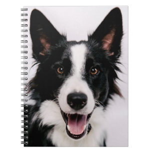 Getty Images En leende border collie Anteckningsbok