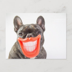 Getty Images En leende hund Vykort