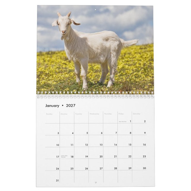 Getväggkalender Kalender (Jan 2027)