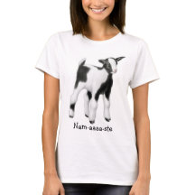 GetYogaNamaste kvinna T-tröja